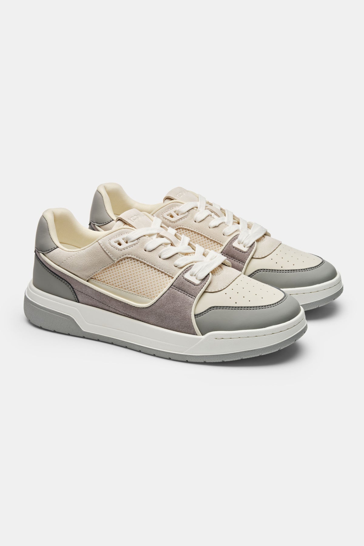 TAYLOR TRAINER