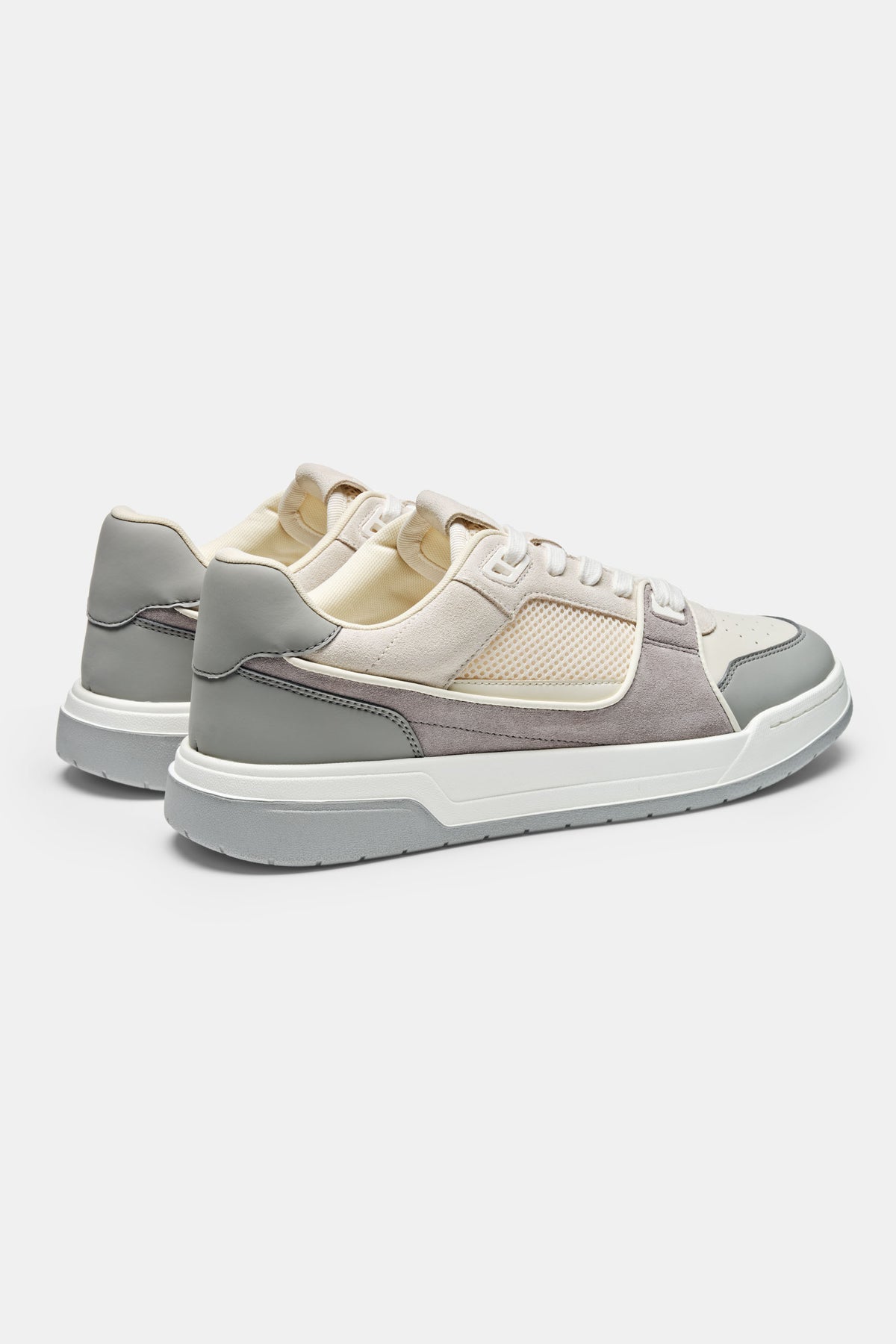 TAYLOR TRAINER