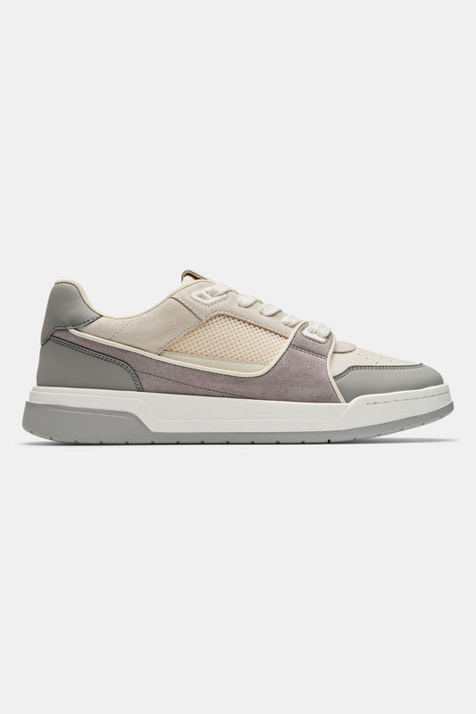 TAYLOR TRAINER