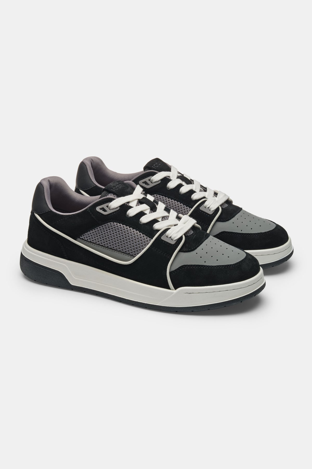 TAYLOR TRAINER